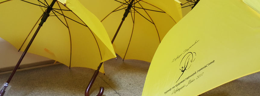 Зонты с логотипом в королеве